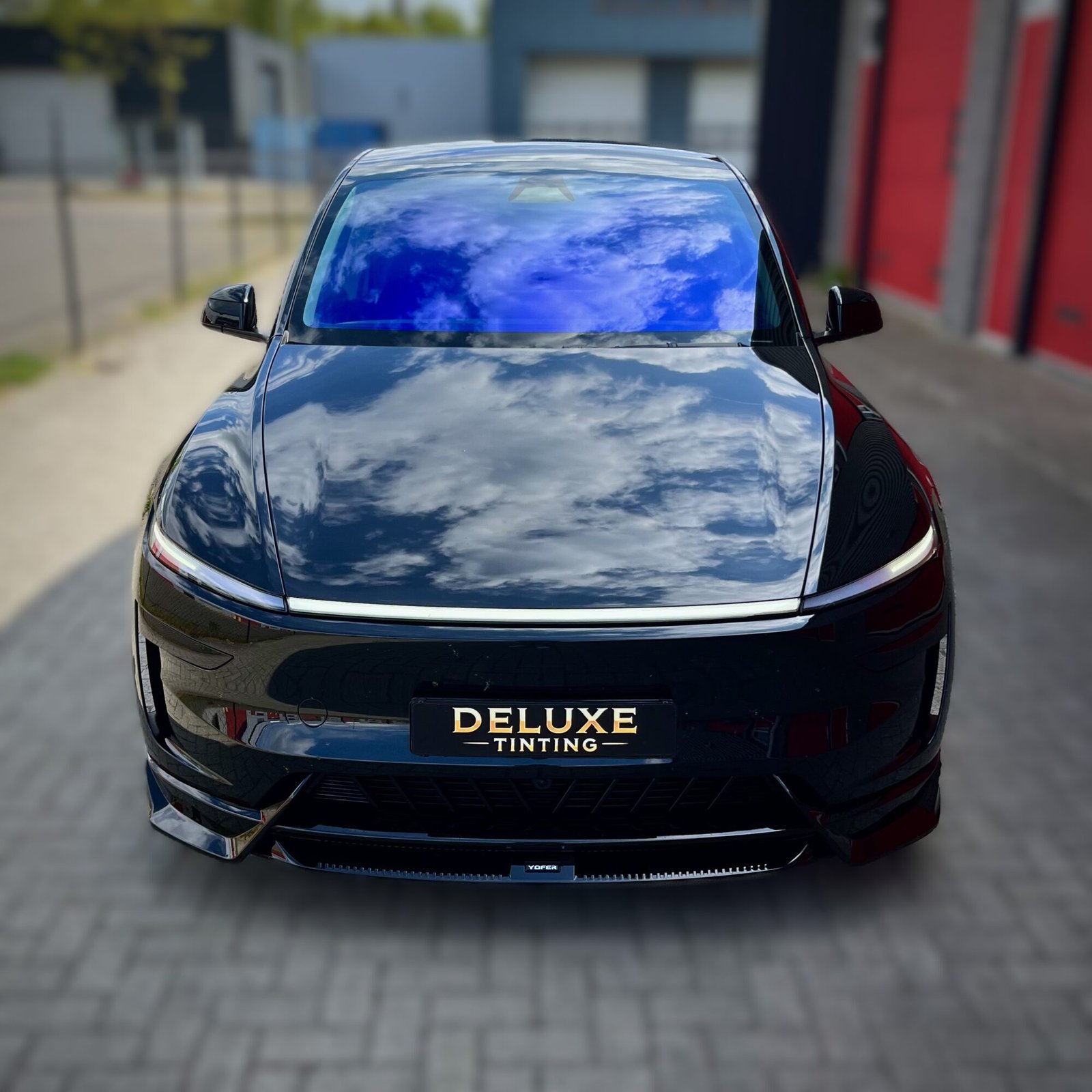 Blauwe-chameleon-folie-bestellen