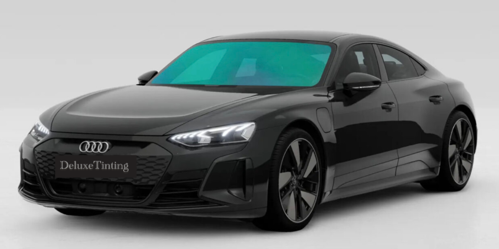 Chameleon-forest-green-v2