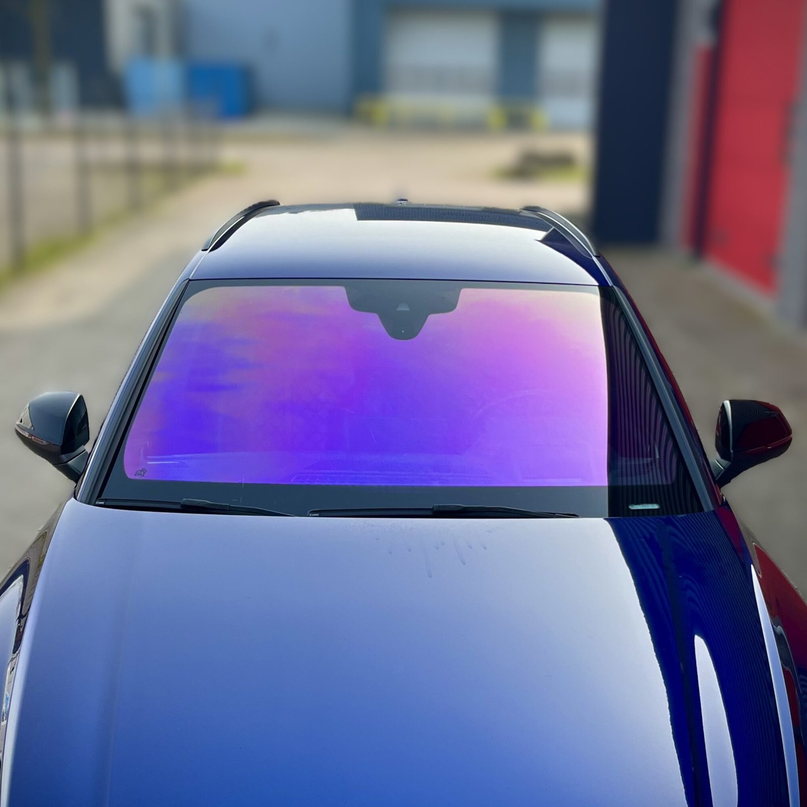 Paarse-chameleon-tint-voorruit